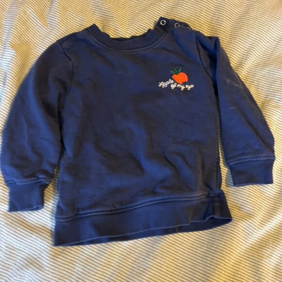 🍎 Hanna Andersson “Apple of My Eye” Sweatshirt – Size 3T 🍎 - Picture 1 of 3